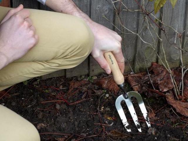 Burgon & Ball Stainless Steel Hand Fork