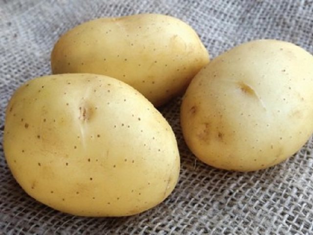 Vitabella Second Early Potato