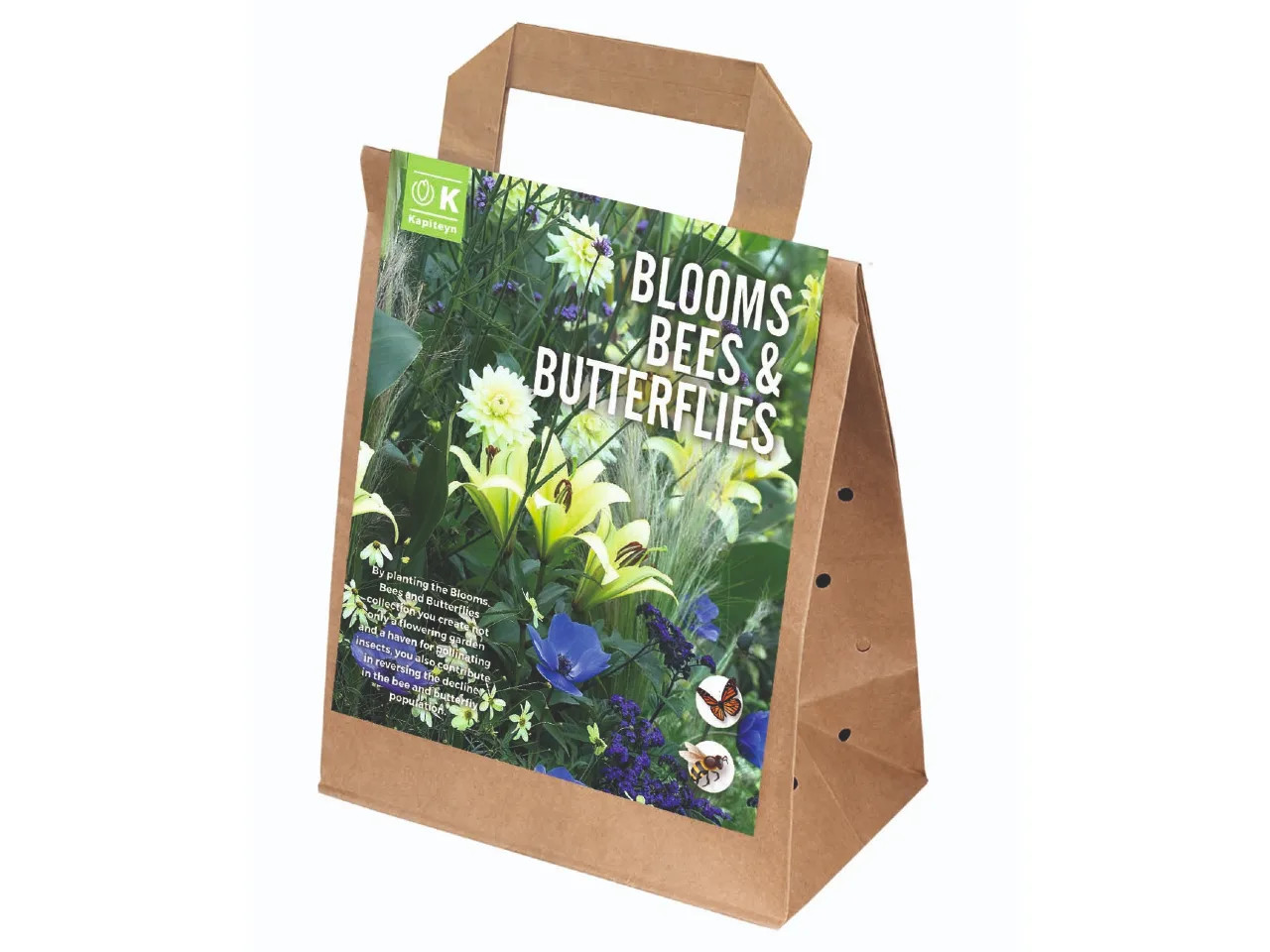 Blooms Bees and Butterflies  White and Blue Shades