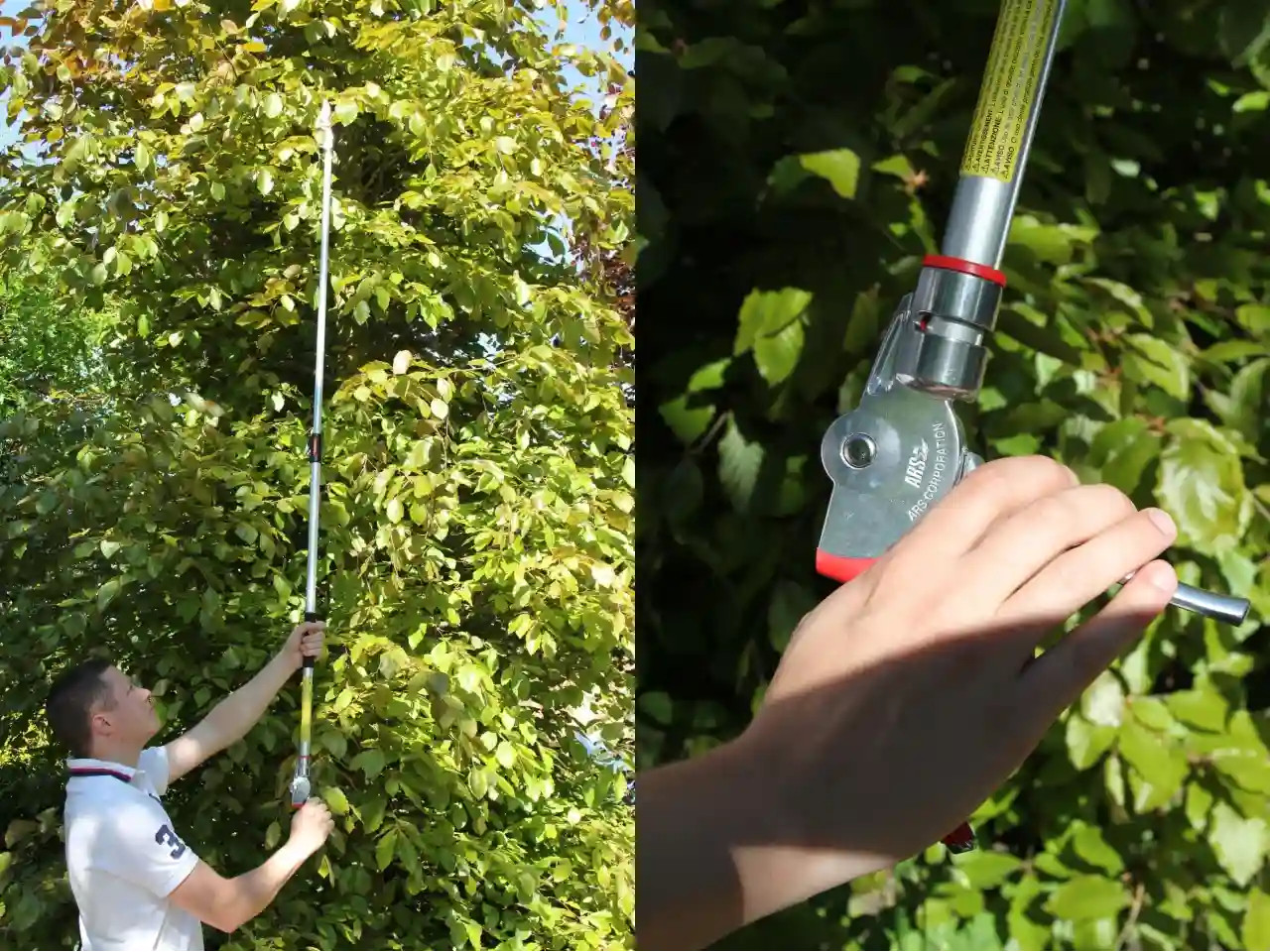 ARS LR Telescopic Pruner 180ZF 2-3m