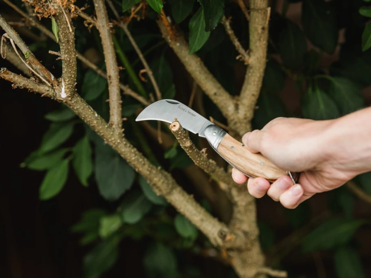 Kent and Stowe Pruning Knife