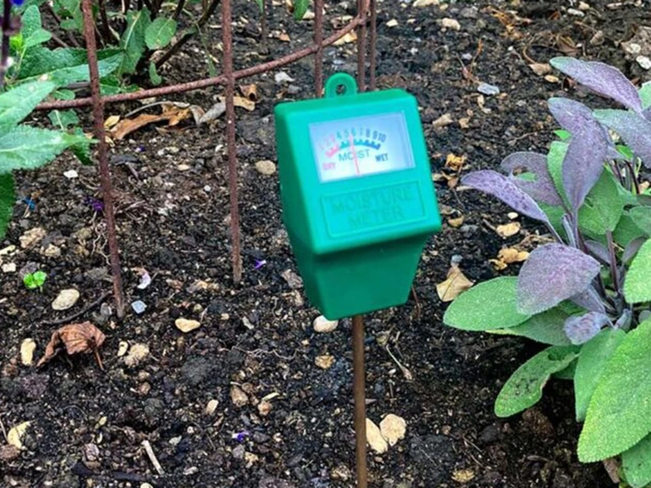 Checking soil moisture with a probe.