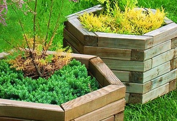 Hexagon shaped raised bed planter made out of timber