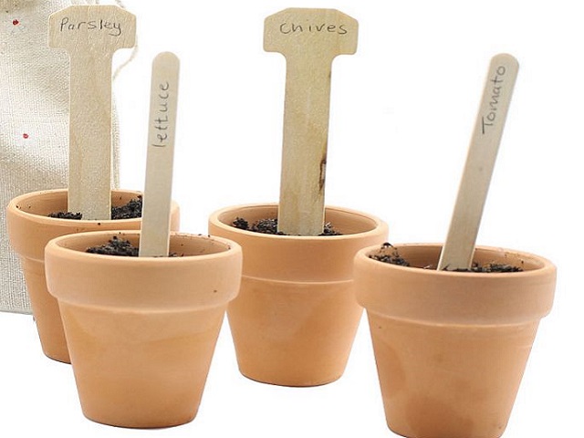 T Shaped Wooden Plant Labels