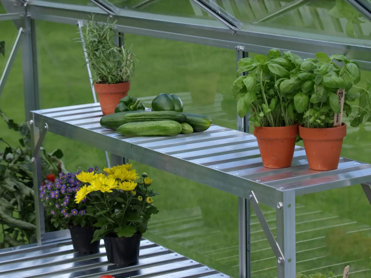 Vitavia top tier greenhouse staging extension aluminium