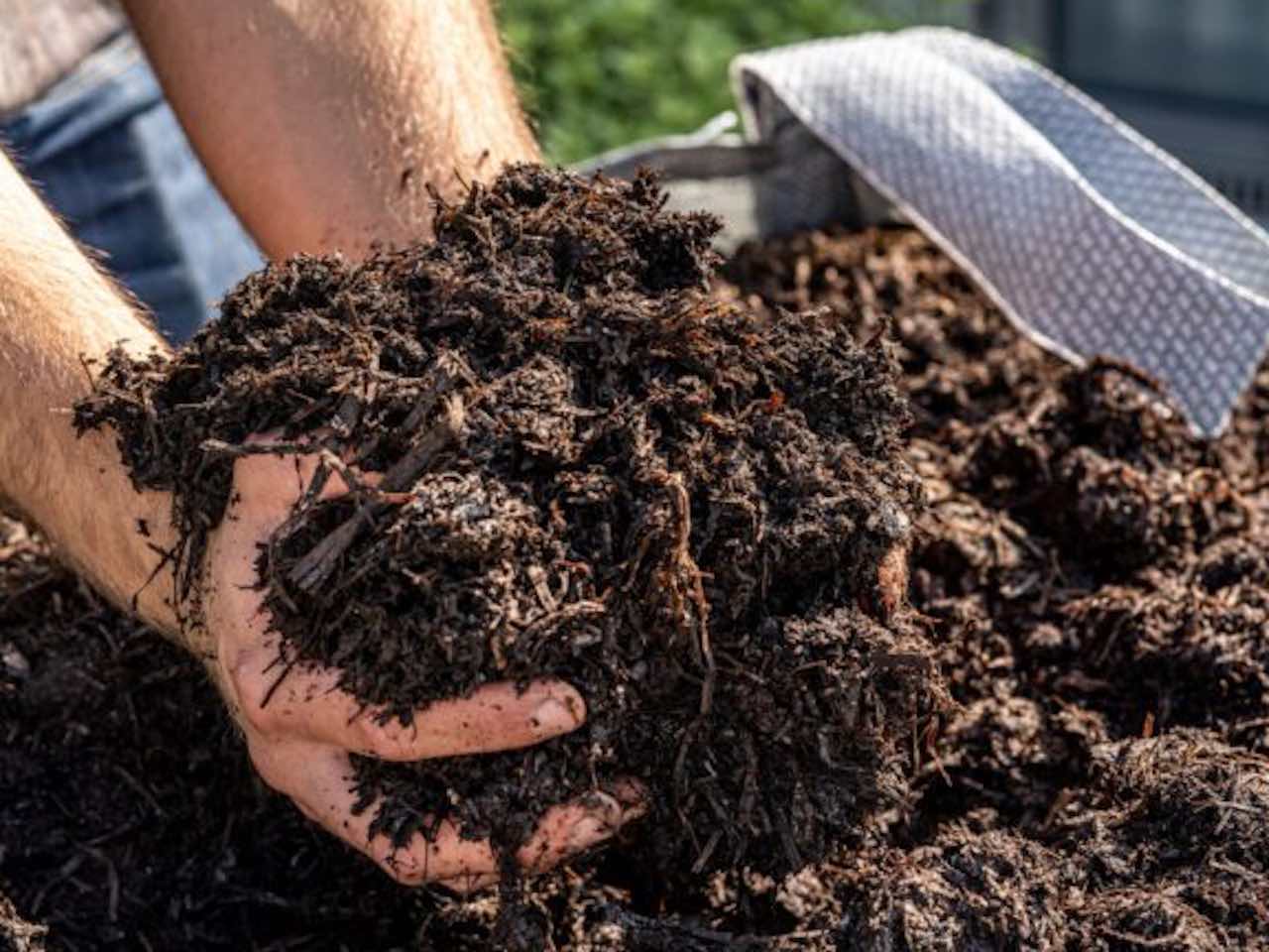 Mushroom Compost - 750 Litre Bulk Bag