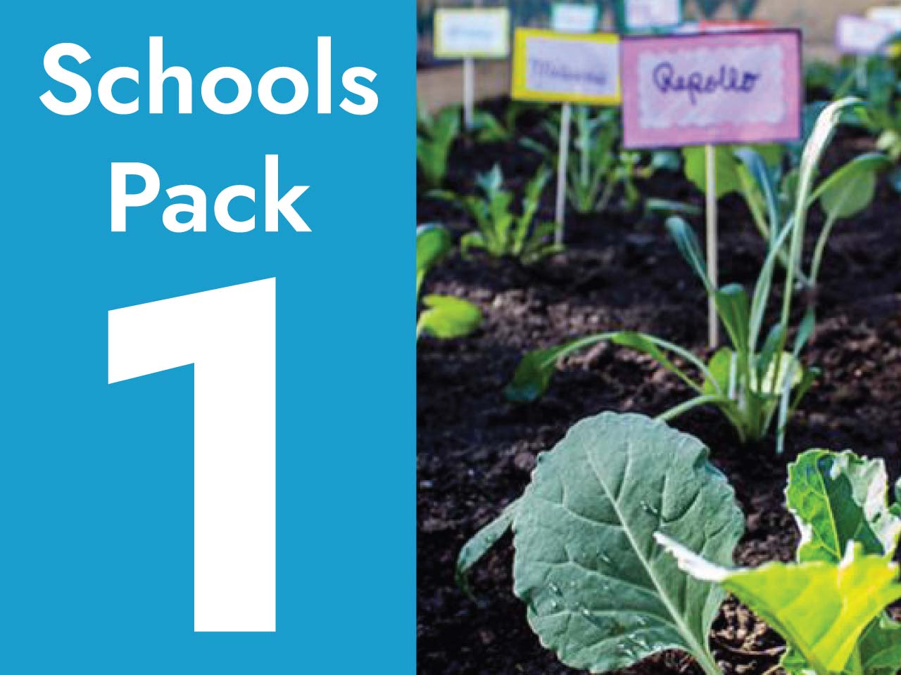 School  Vegetable Garden Pack 1