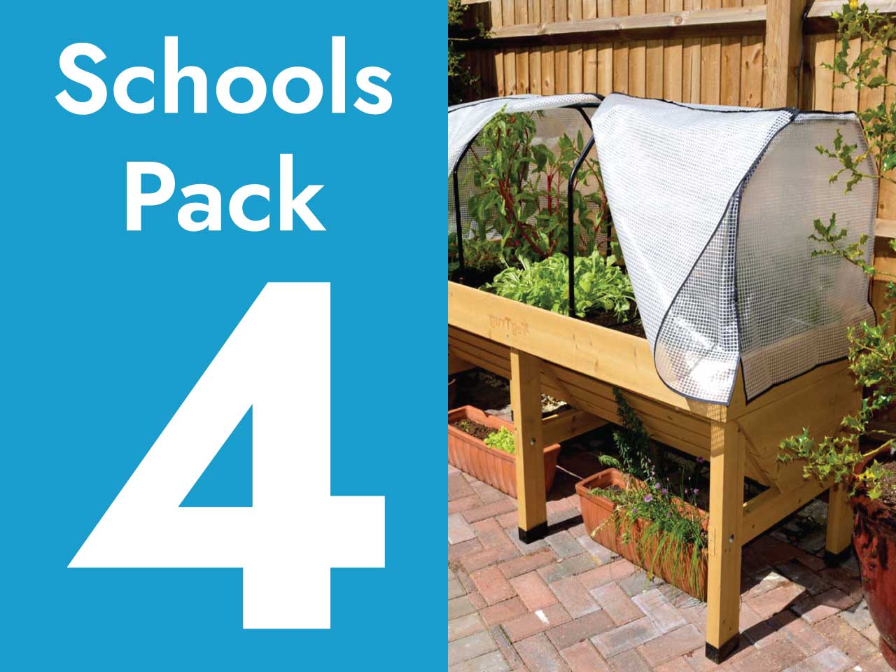 School  Vegetable Garden Pack 4