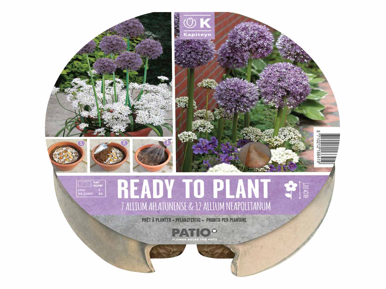 Kapiteyn Plant O Mat - Allium (19 Bulbs)