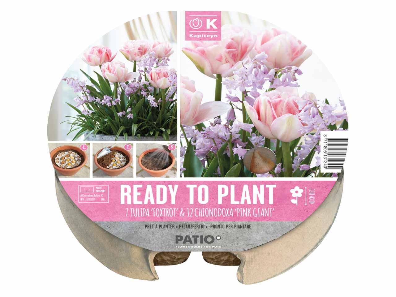 plant o mat tulipa and chionodoxa spring flowering bulb pack