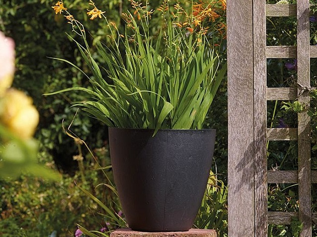 Round Basalt low planter from our decorative pots range