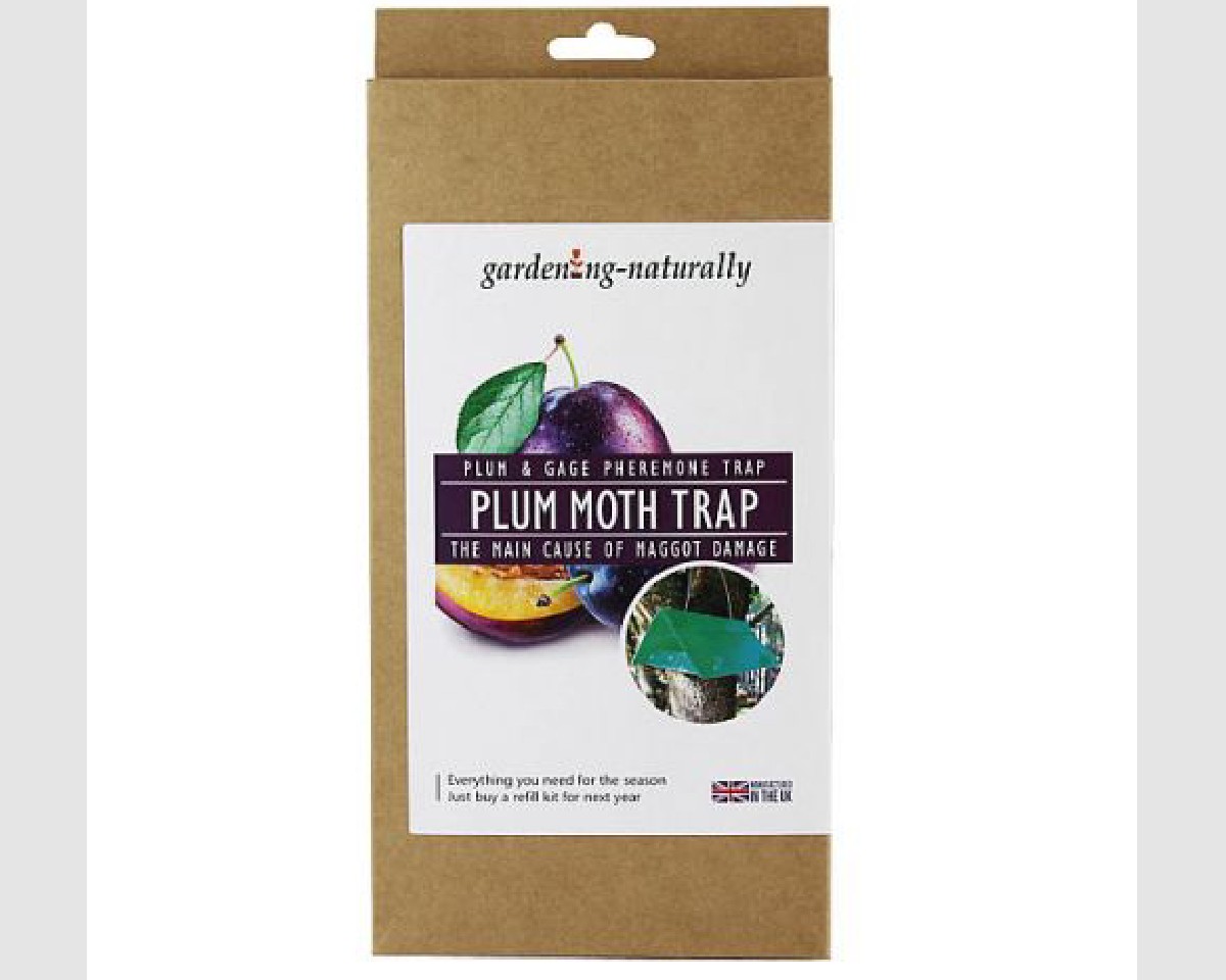 Plum Moth Trap & 2 Lures With 2 Sticky Bases