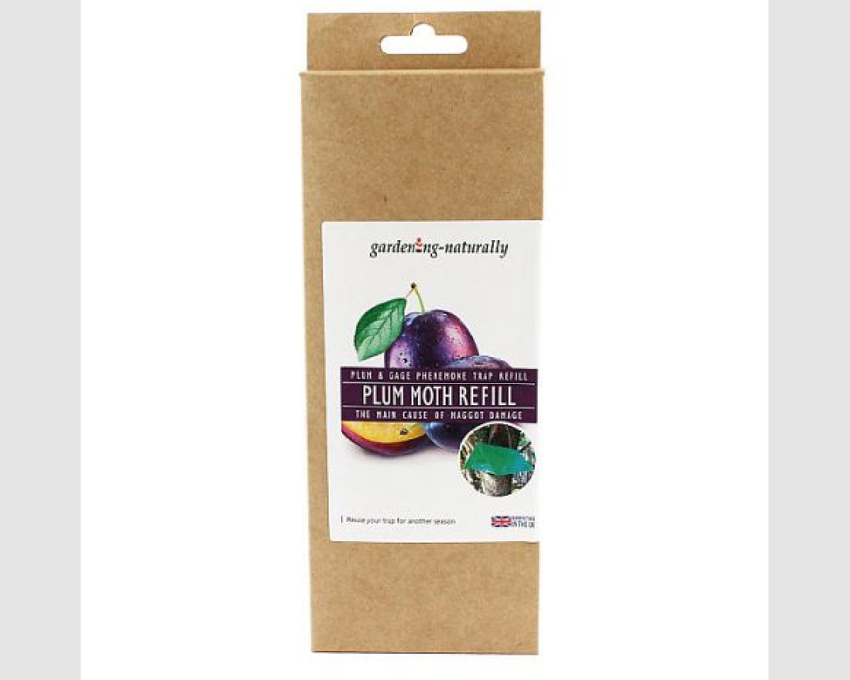 Plum moth trap refill pack