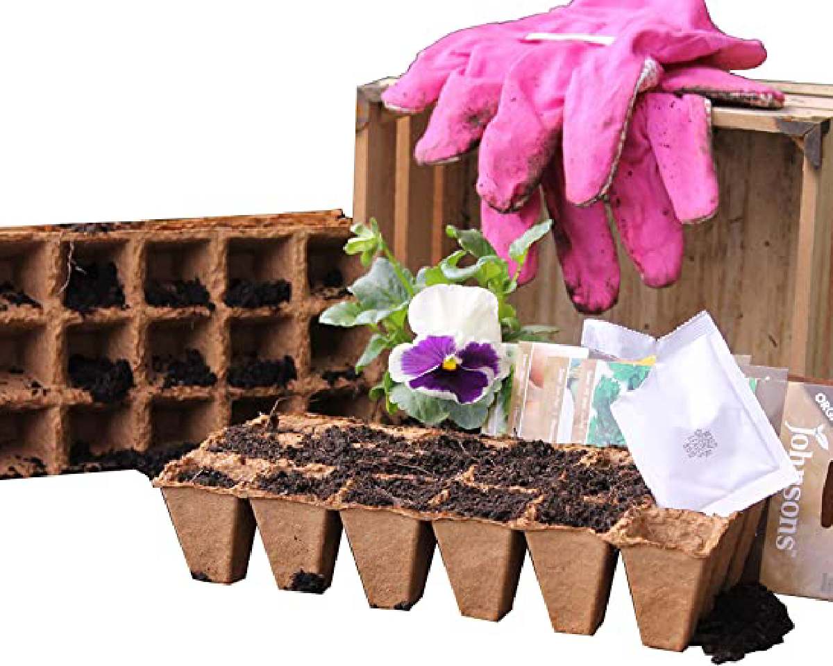 Wood Fibre Seed Trays - 72 Cell