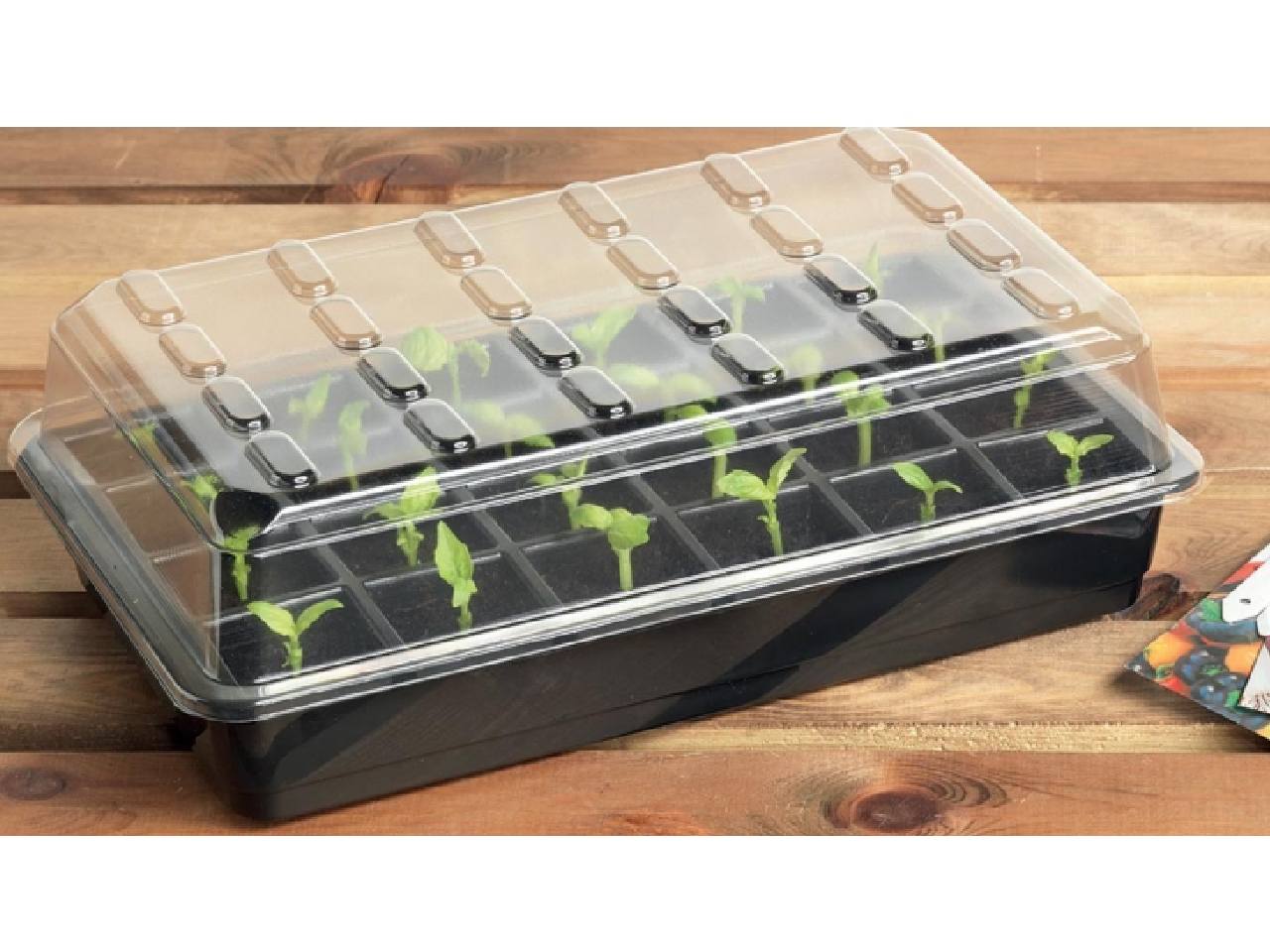 Garland 24 Cell Seed Starter Set