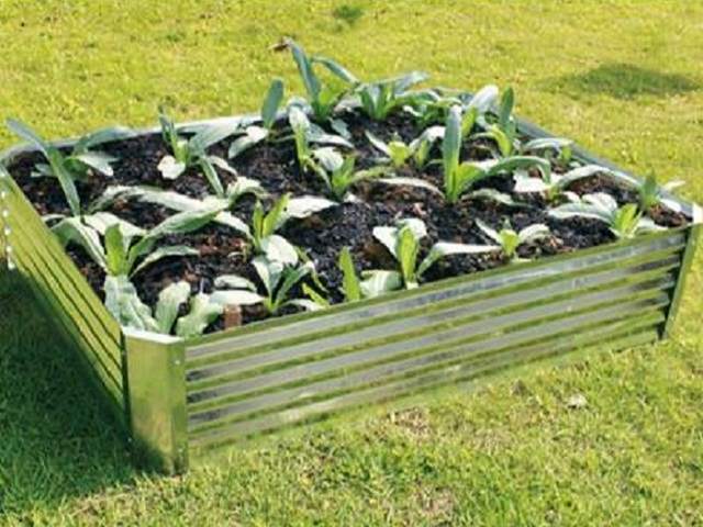 rectangular galvanised raised bed