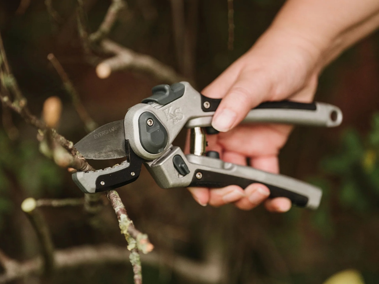 Hard Wood secateurs - ultra sharp
