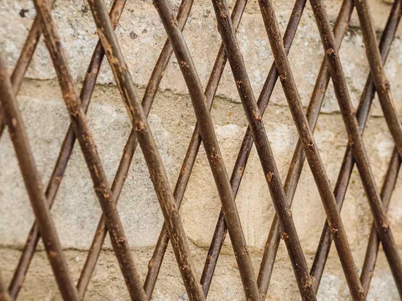 willow trellis plant support