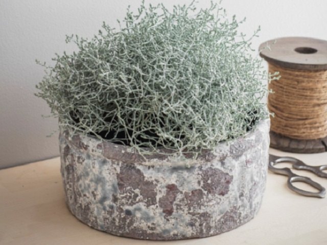 Ceramic Withington bowl