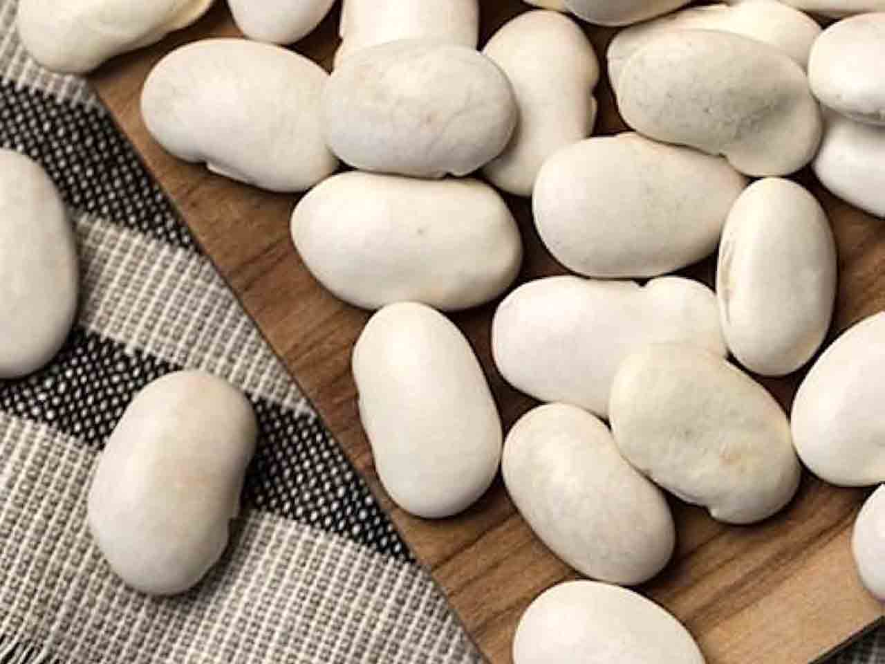 French Bean 'Coco Blanc a Remes'
