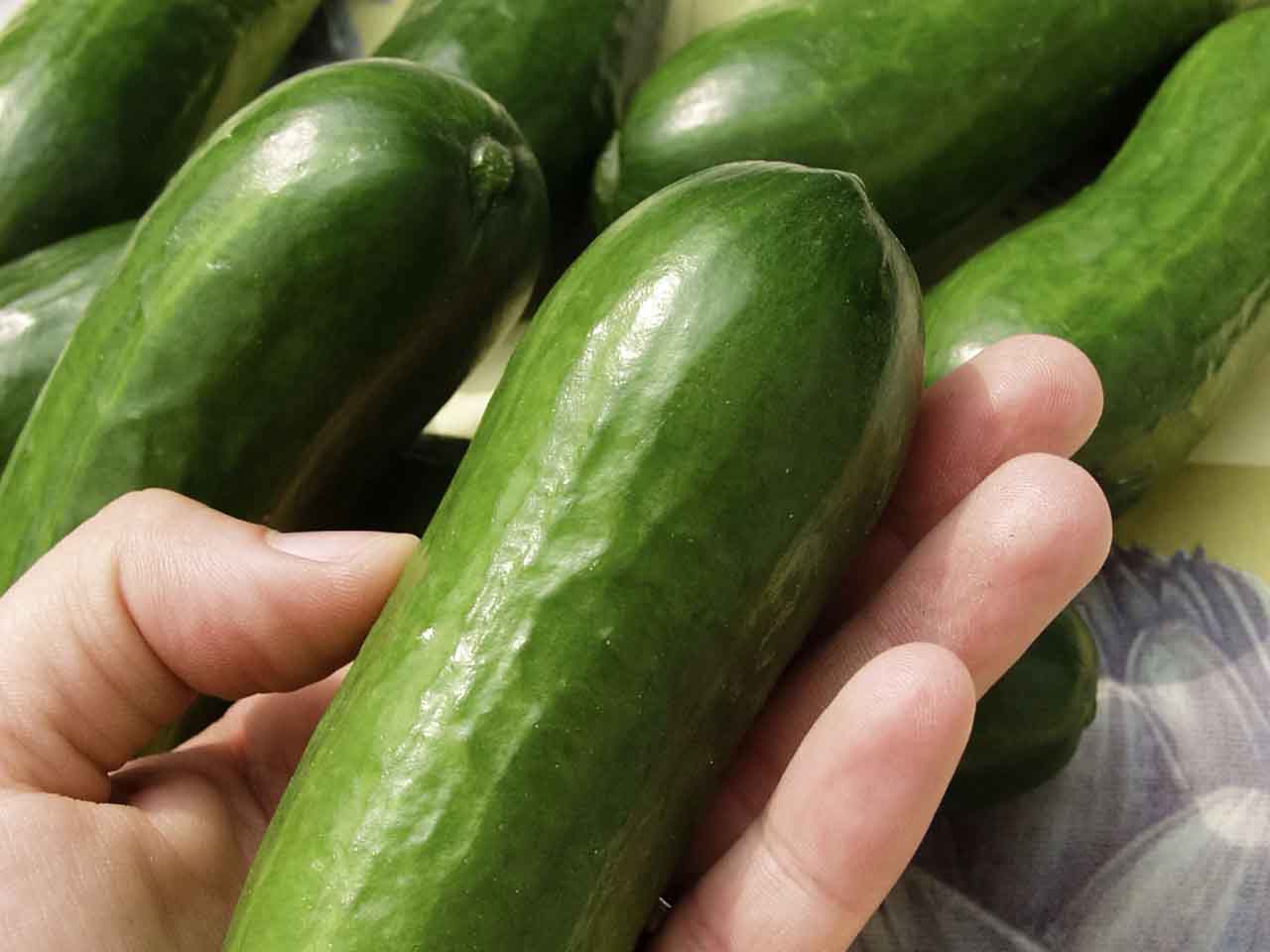 Cucumber  'Iznik F1'