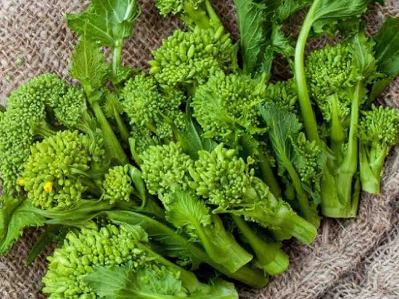 Broccoli Raab - Cima Di Rapa