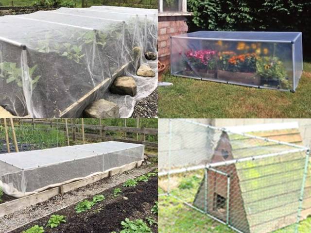 Build Your Own Mainframe Crop Protection System