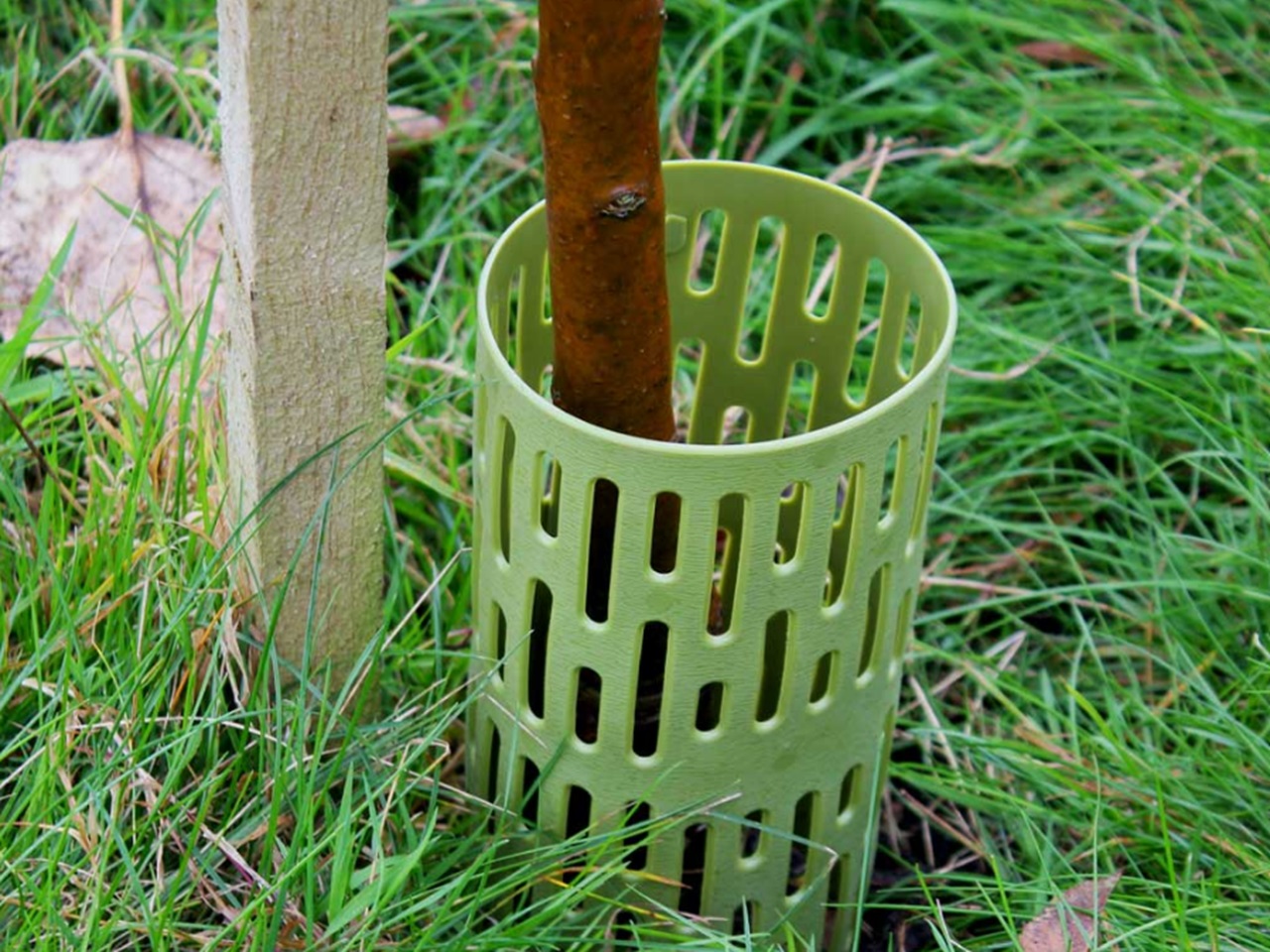 StrimGuard for protection of trees