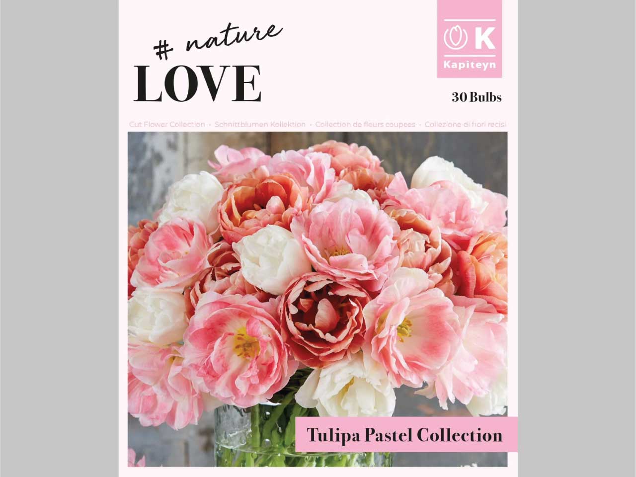 Double Pastel Tulip Bouquet Collection - 30 Bulbs