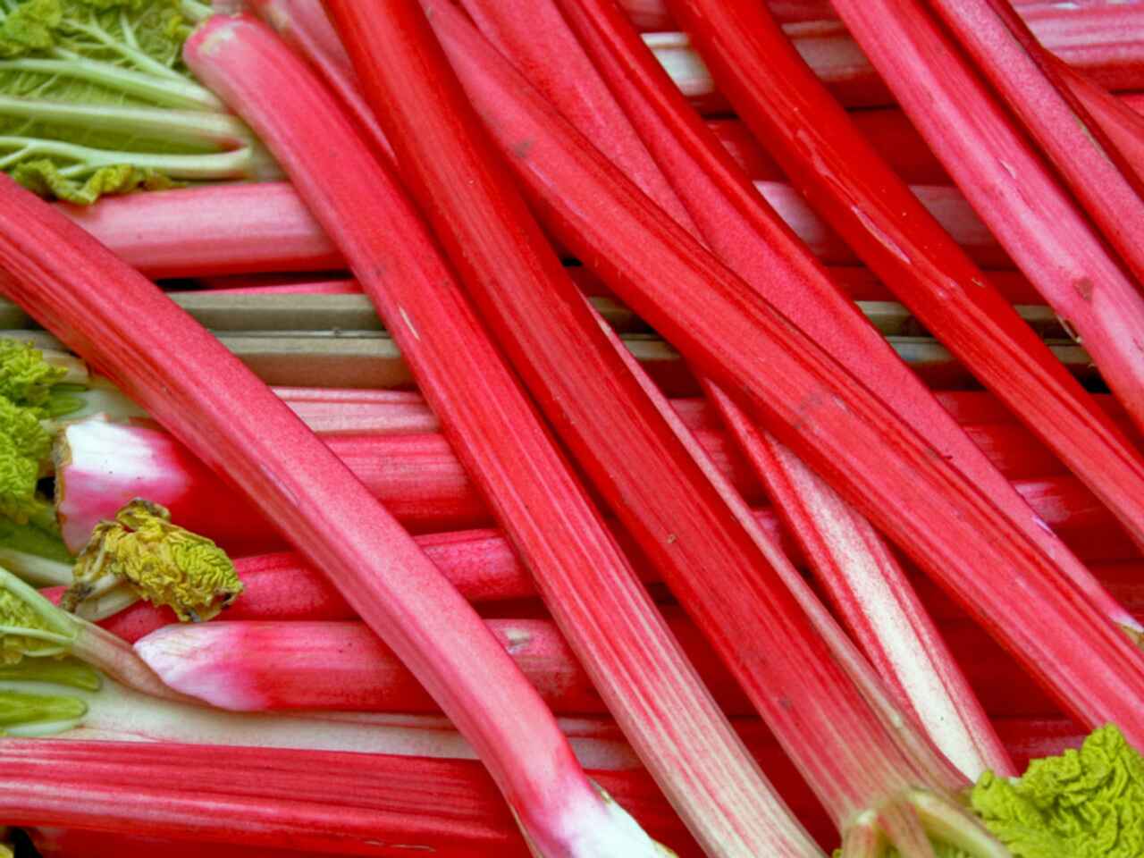 Rhubarb Victoria Triple