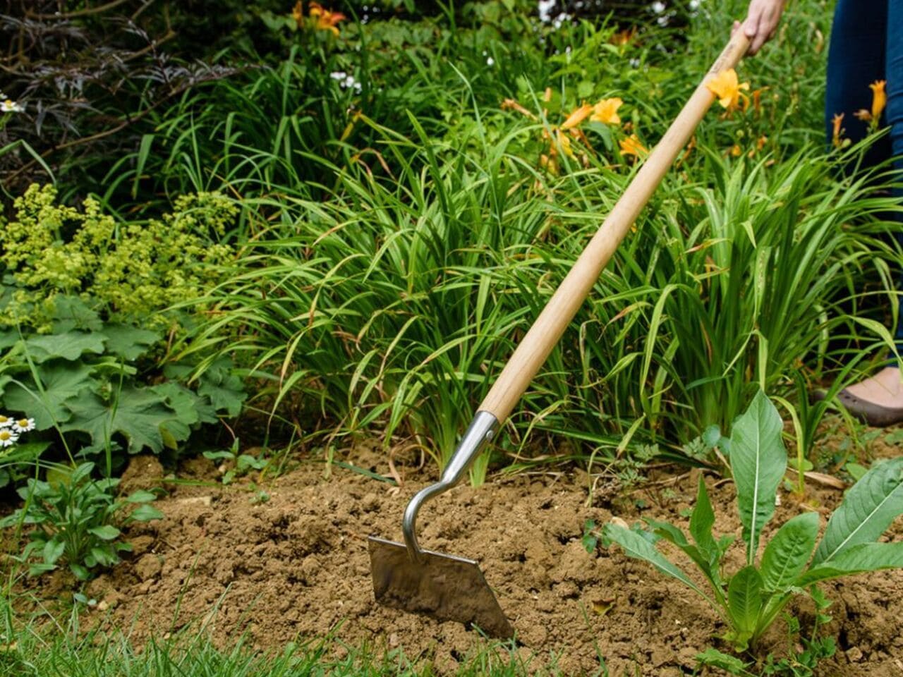 Kent and Stowe Long Handled Draw Hoe