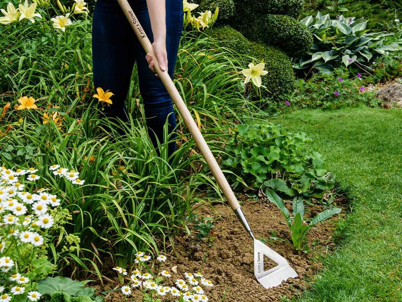 Kent and Stowe long dutch hoe