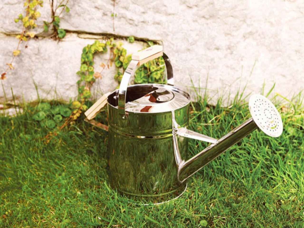 Fancy Watering Can