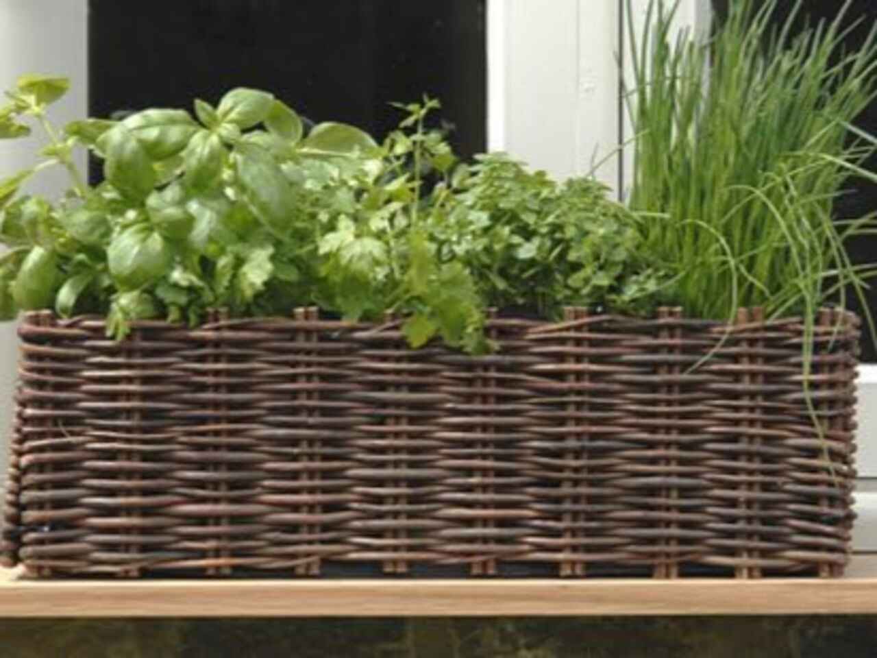Willow Window Box on a windowsill with plants