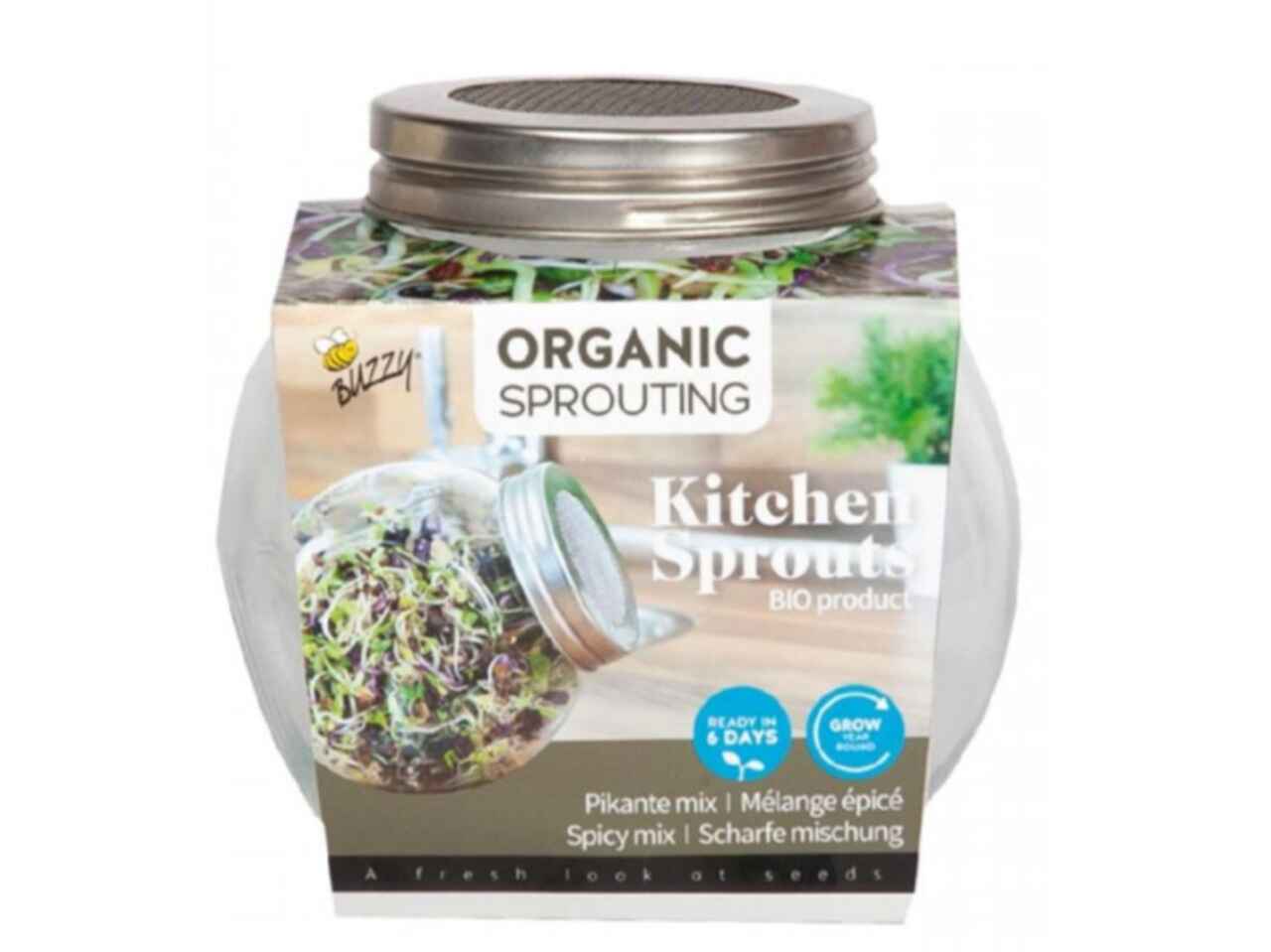 Glass Sprouting Spicy Salad Jar and label