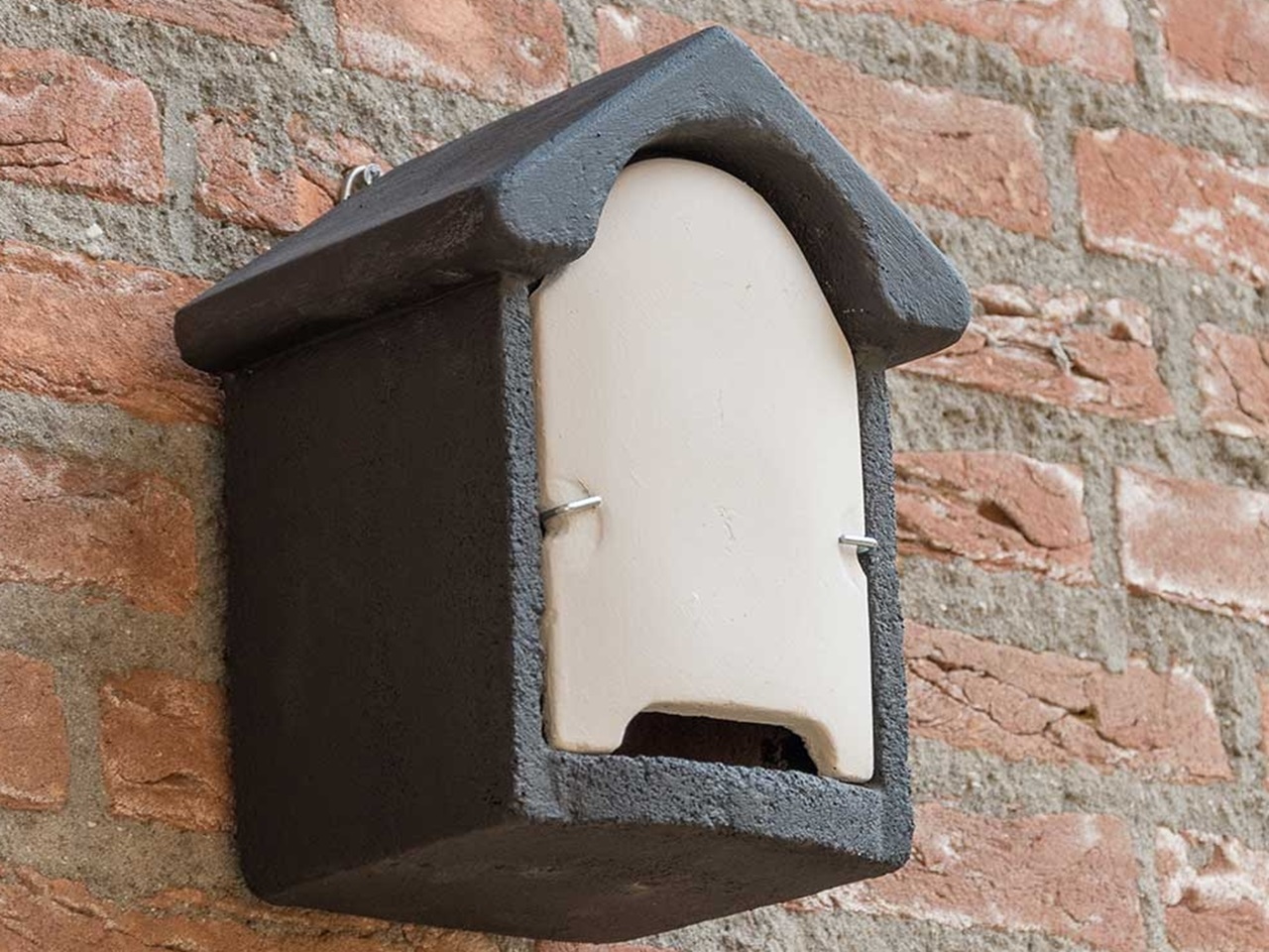 Harlech woodstone bat box on a wall