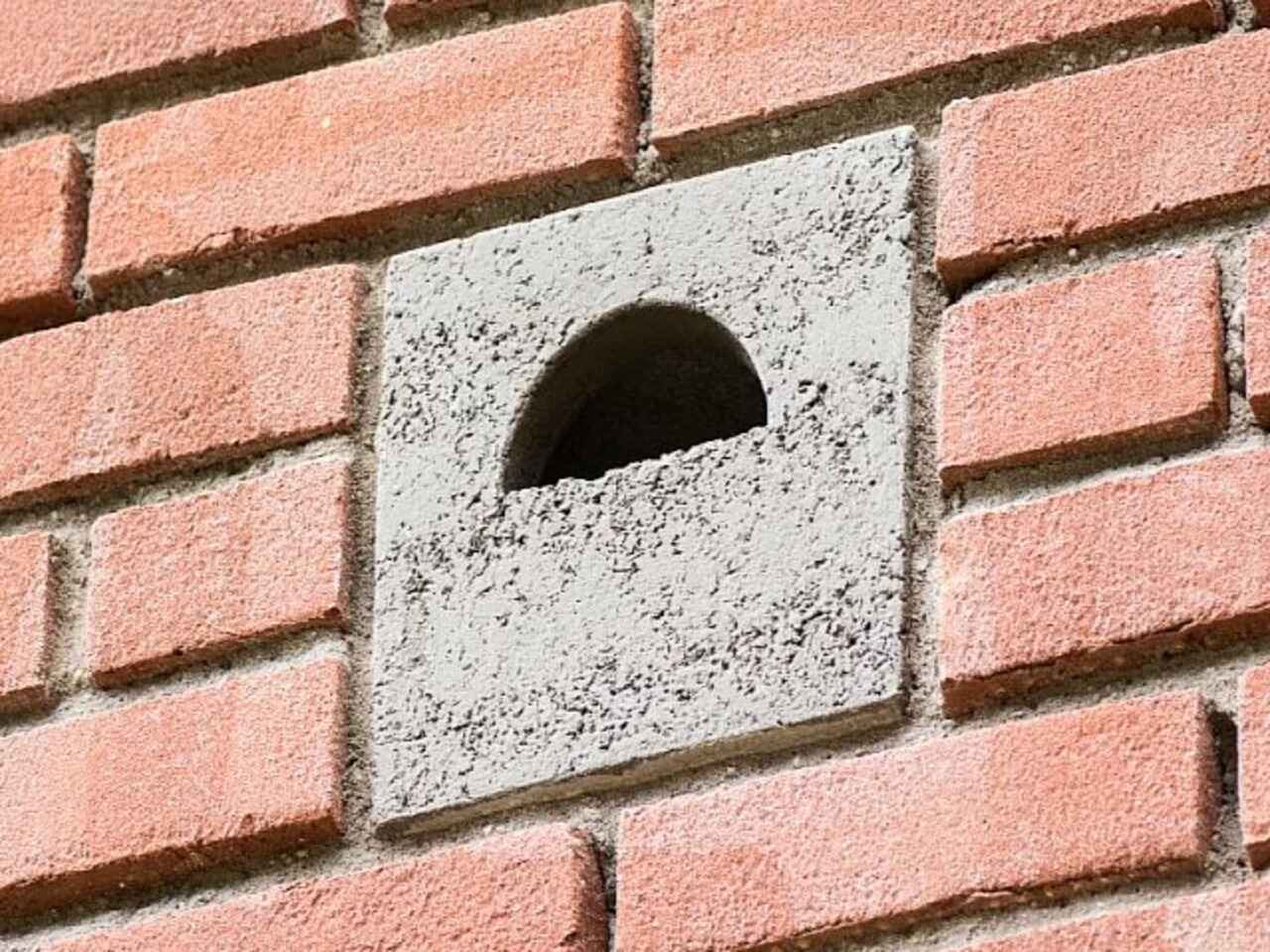 Built-in Nest Box (Semi Open) IBDI3