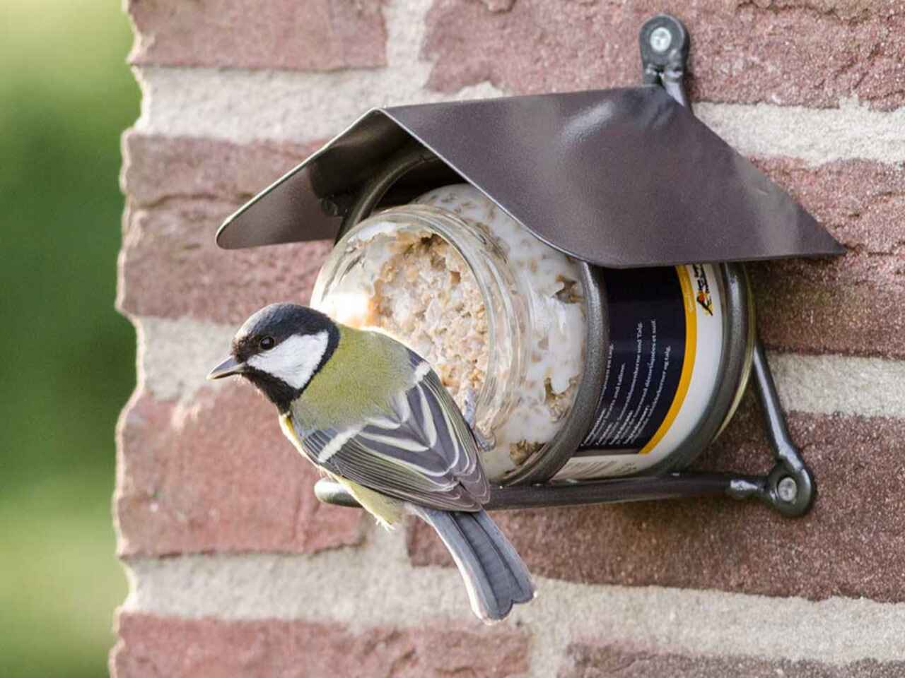 Bird eating Peanut Butter Jar Holder Wicklow