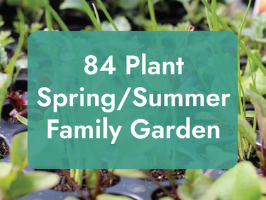 Spring Family Garden Medium - 84 Organic Plants