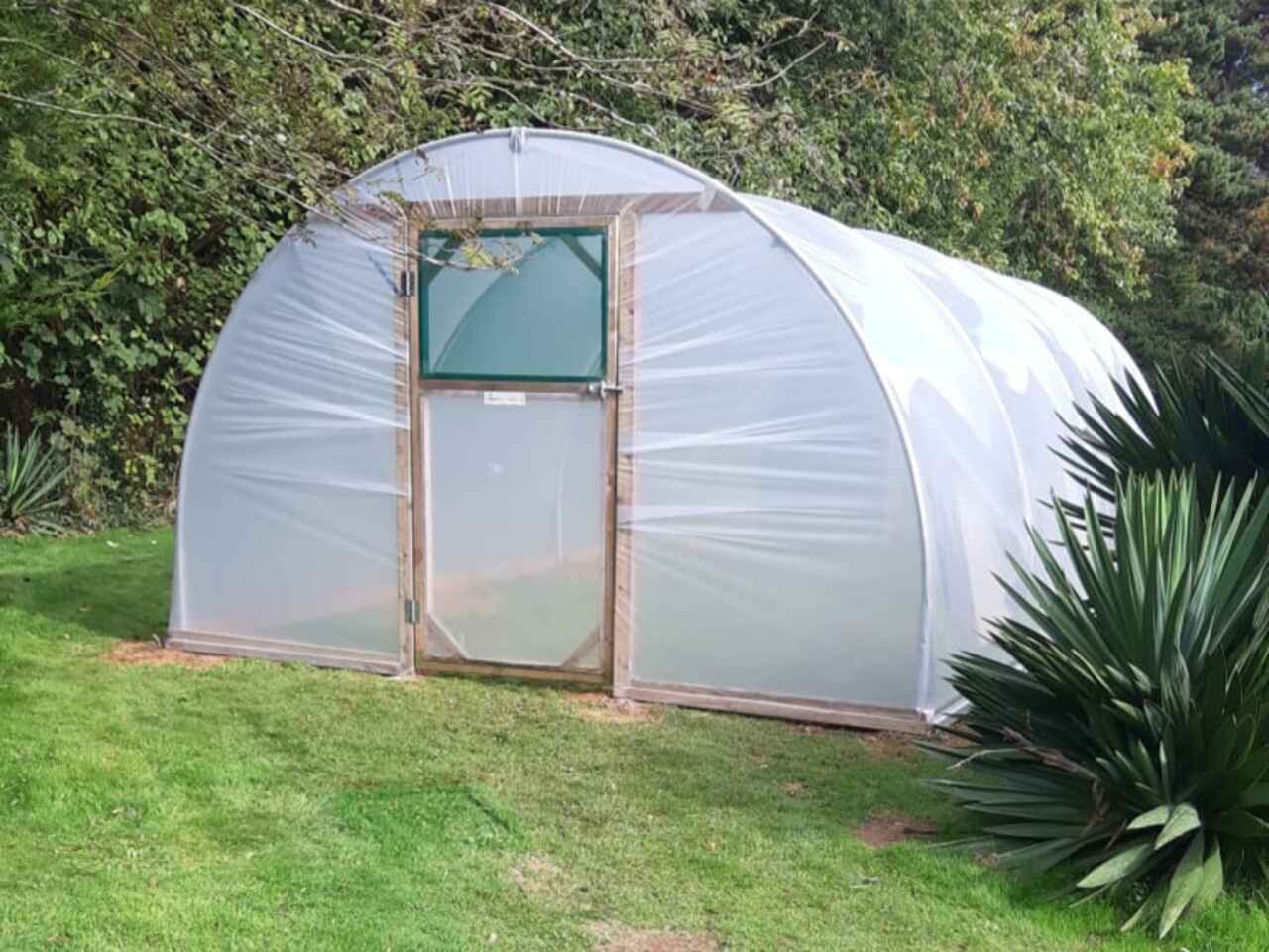 Small Hobby Polytunnel in a garden