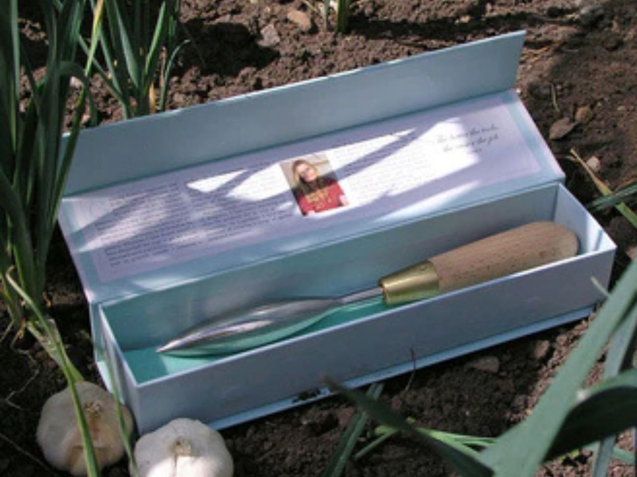 Sophie Conran Dibber in Gift Box