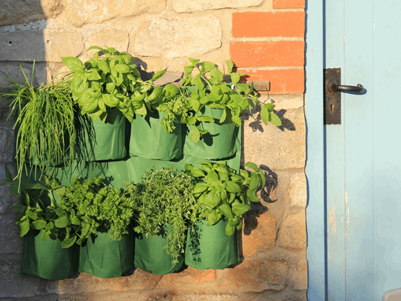 Fabric planter hanging on a wall
