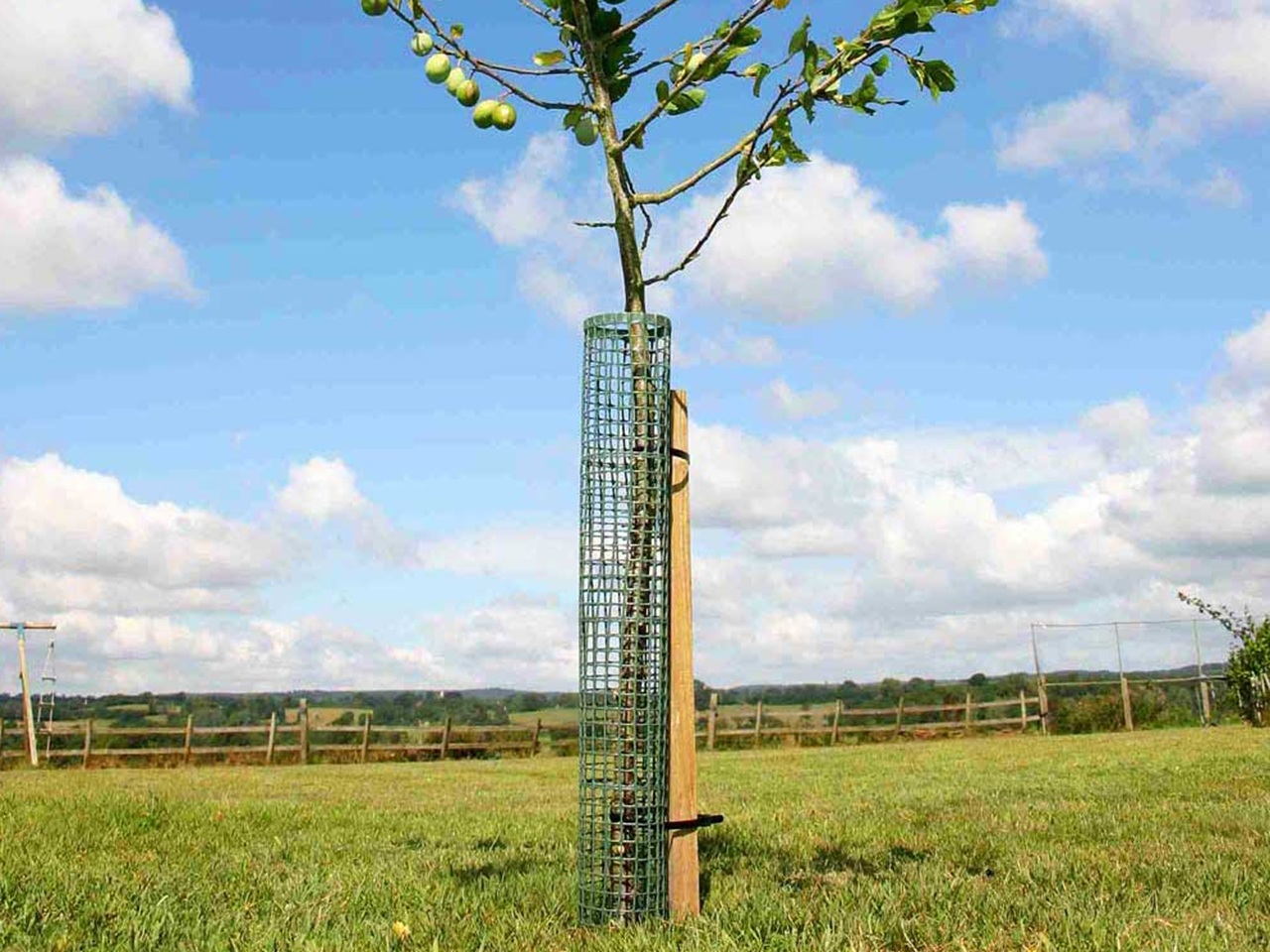 Haxnicks Flexi Mesh Treeguard