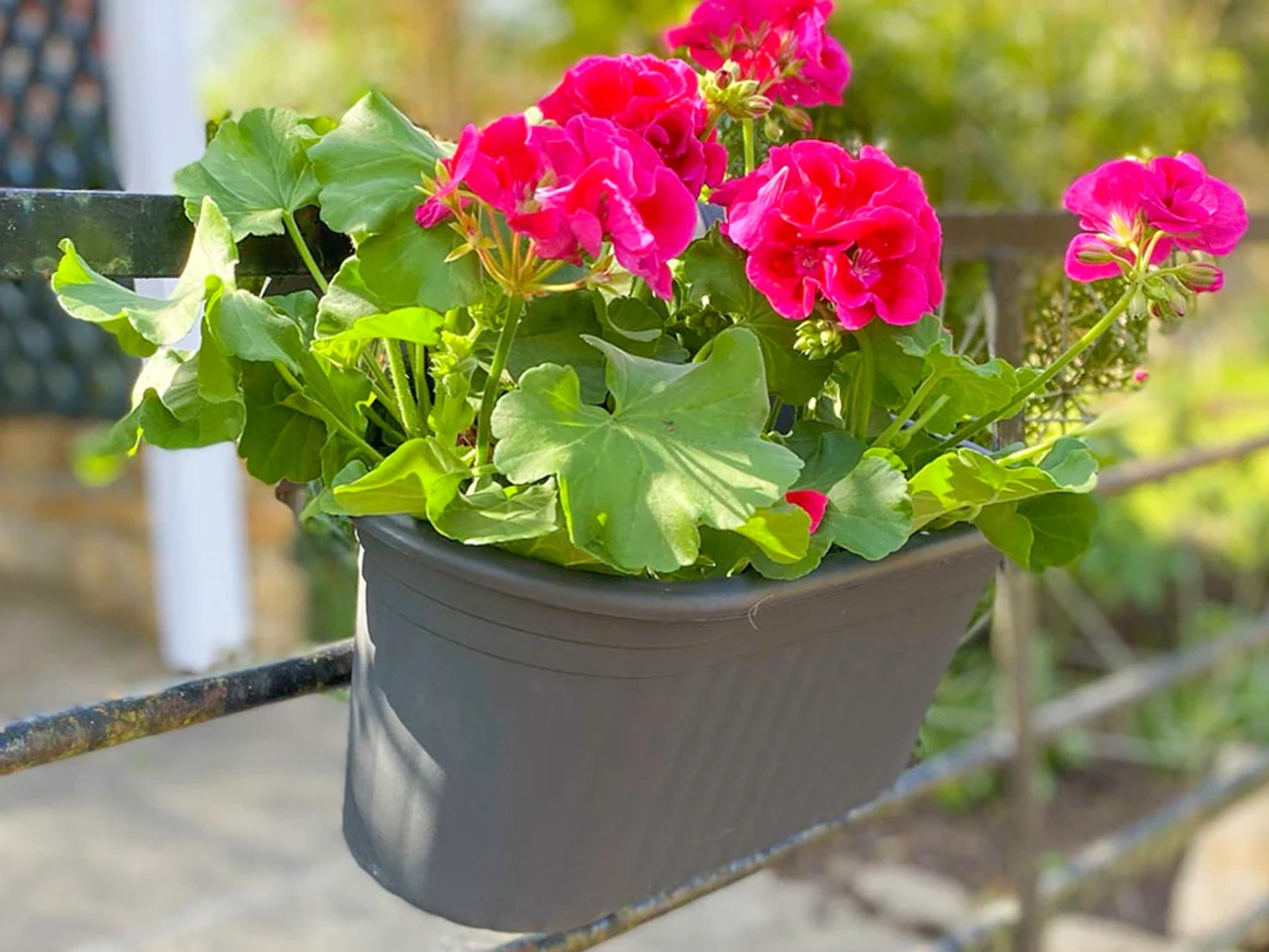 Hanging balcony container