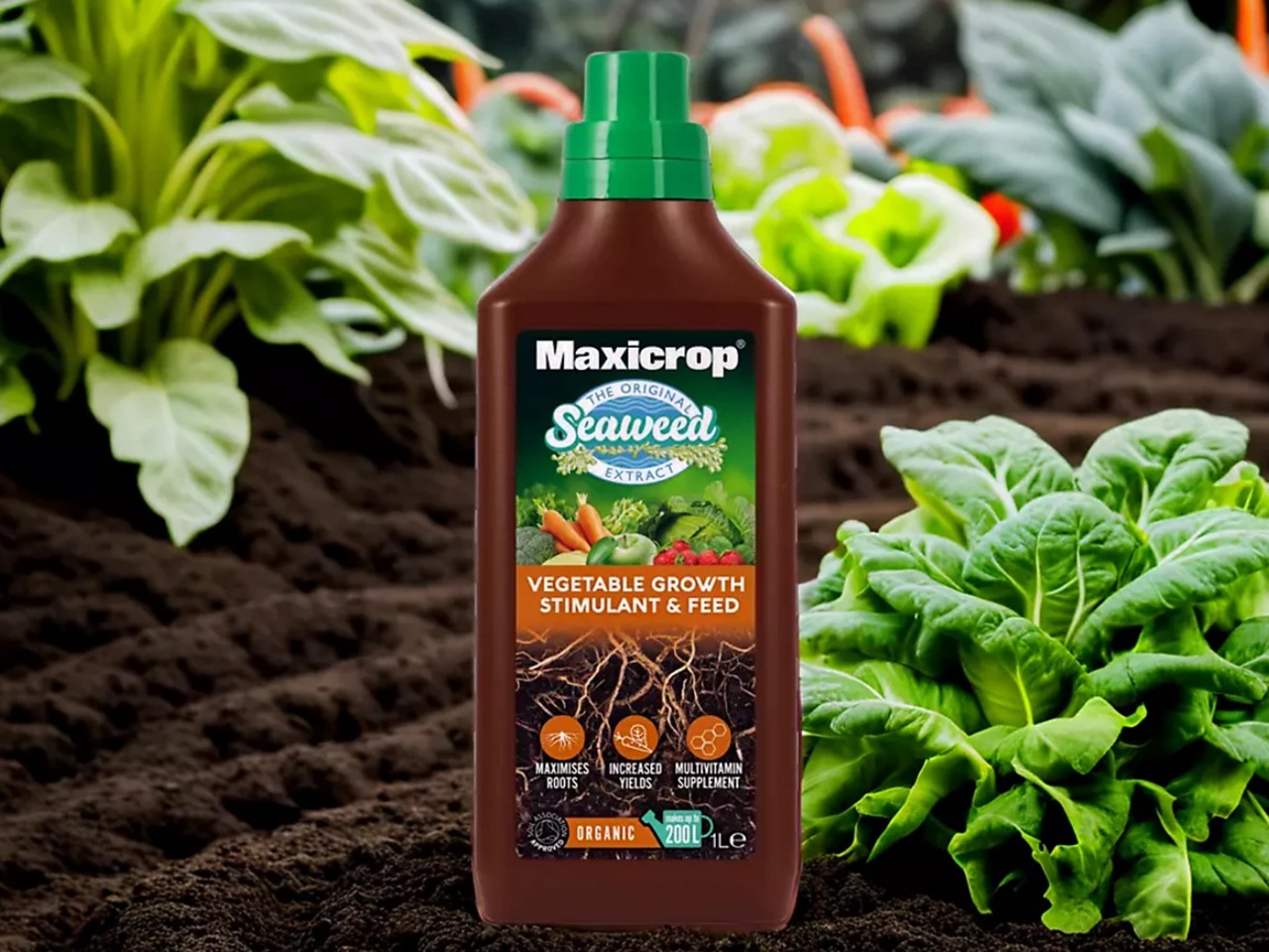 Maxicrop seaweed extract vegetable growth stimulant