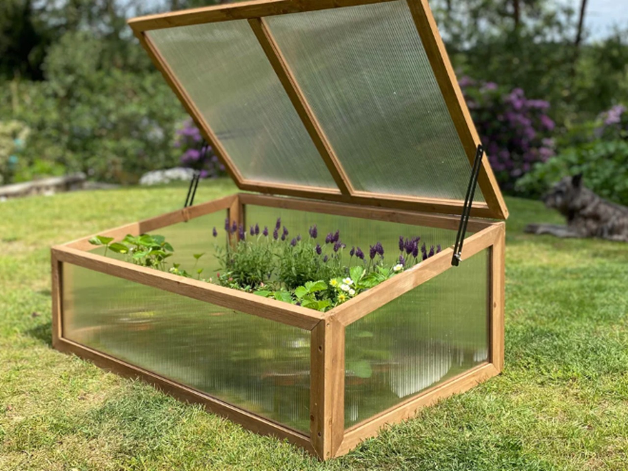 wooden cold frame for plant protection