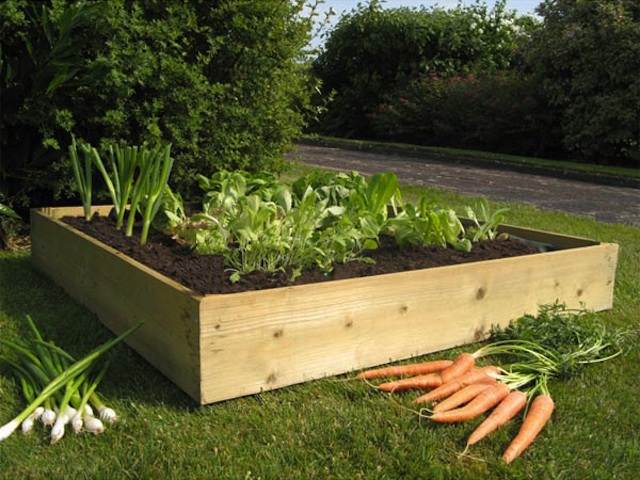120cm Square Allotment Raised Bed Flatpack Kit  - 17.5cm high