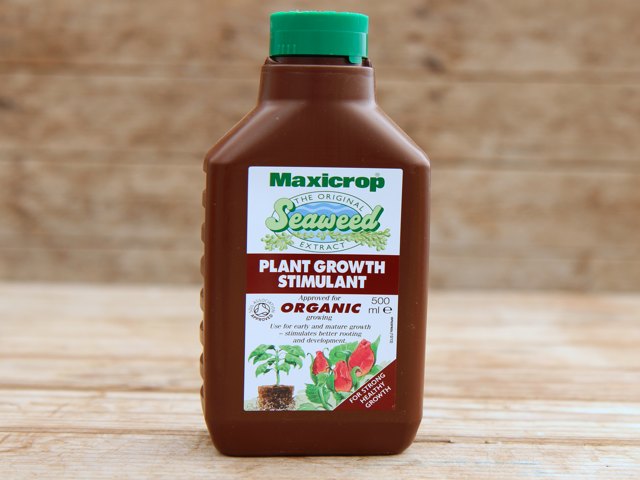 Maxicrop Seaweed Fertilizer 500 ml