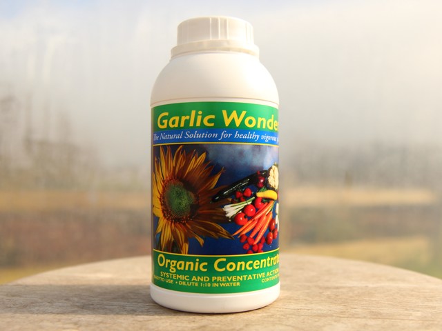 Garlic Wonder, keeps snails and aphids under control