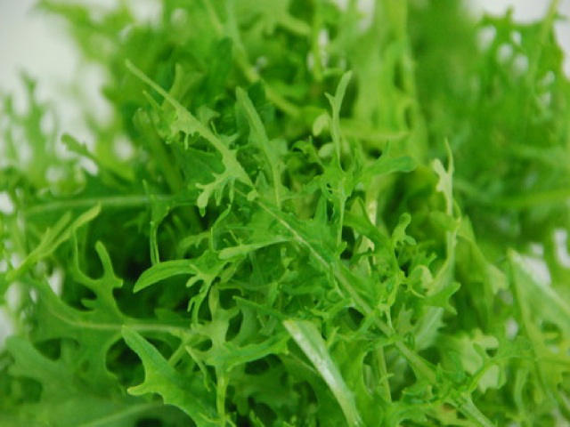 Mustard 'Green Frills' - Asian Brassica